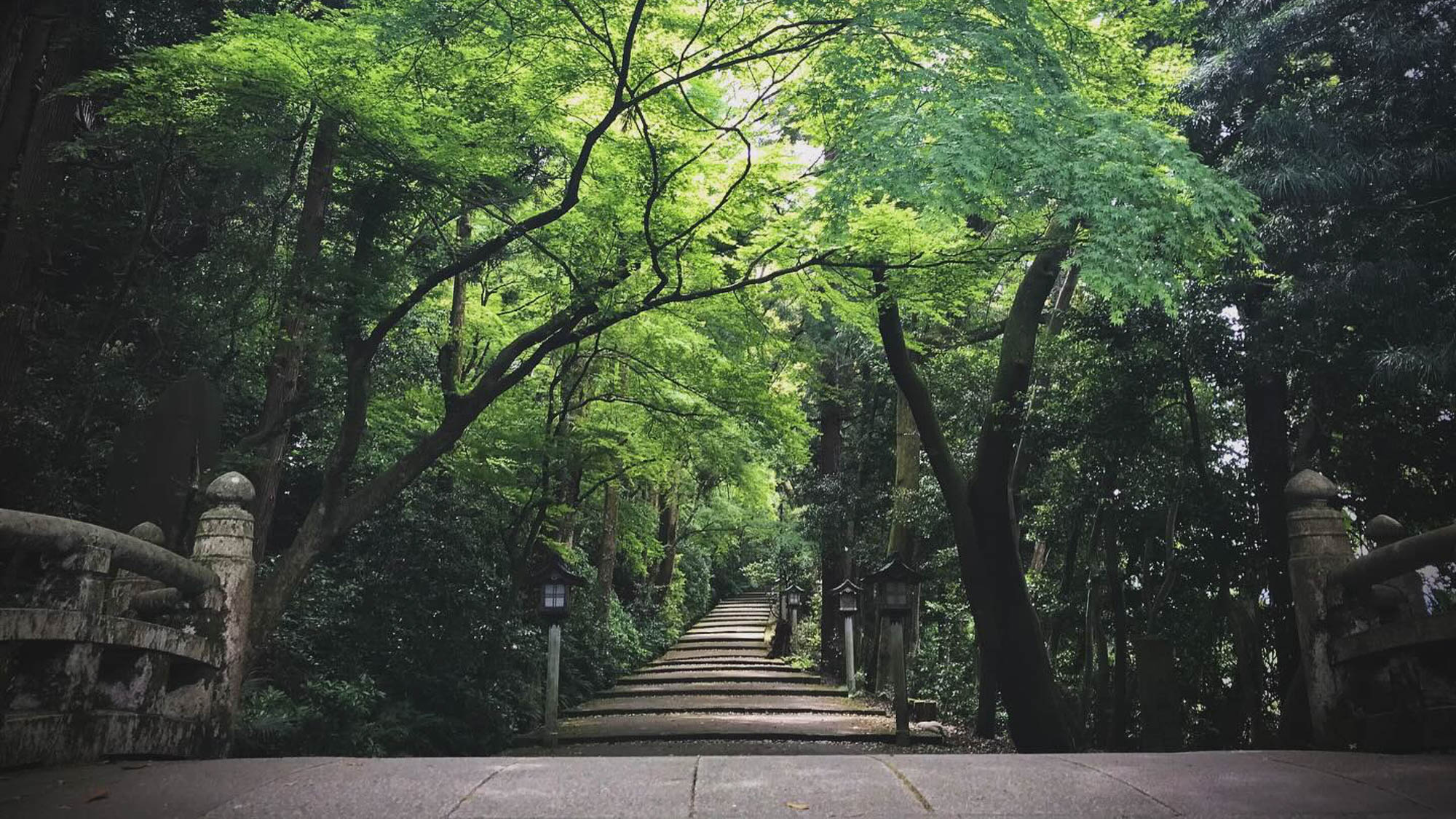 和田屋 Wataya