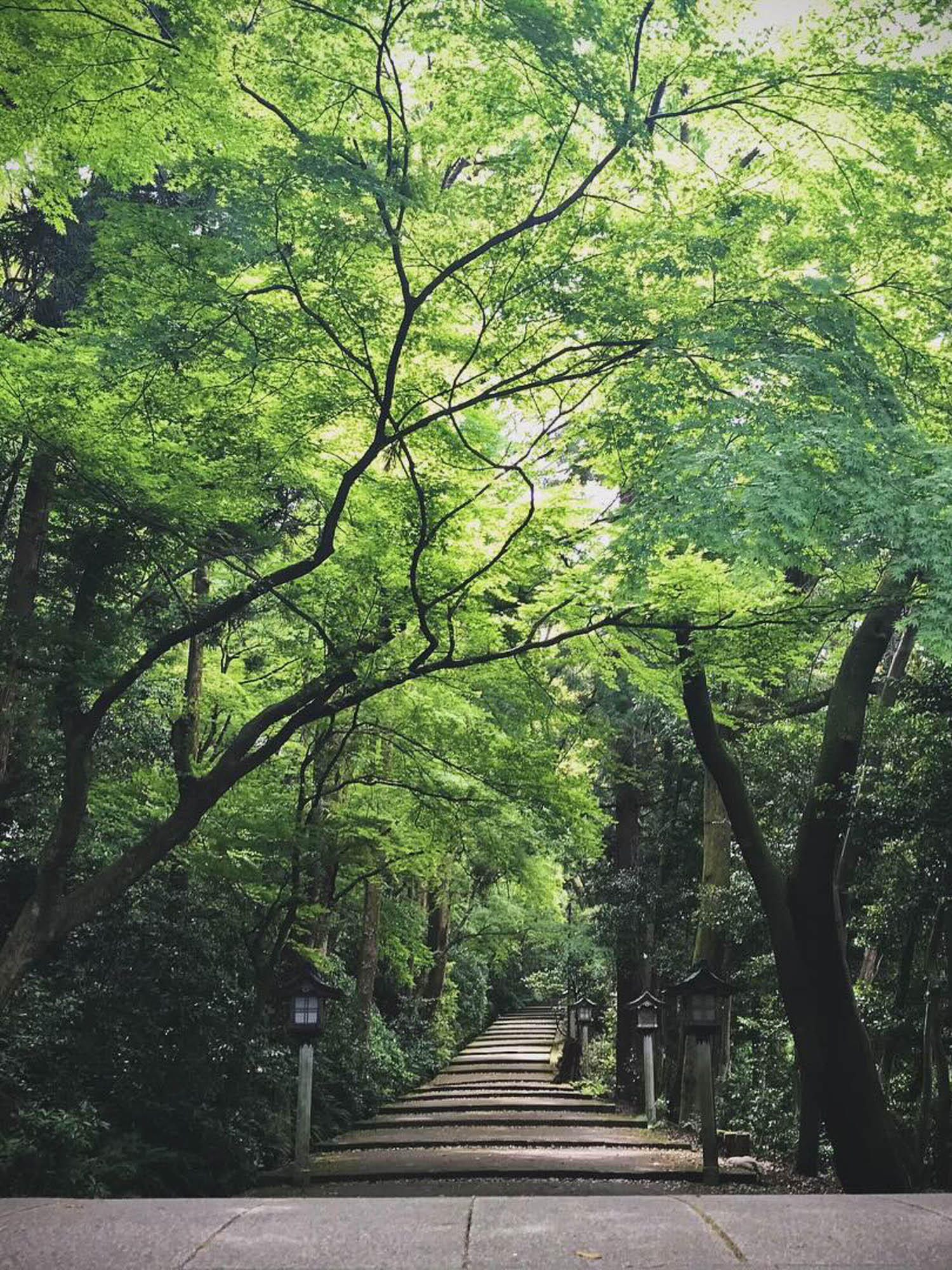 和田屋 Wataya