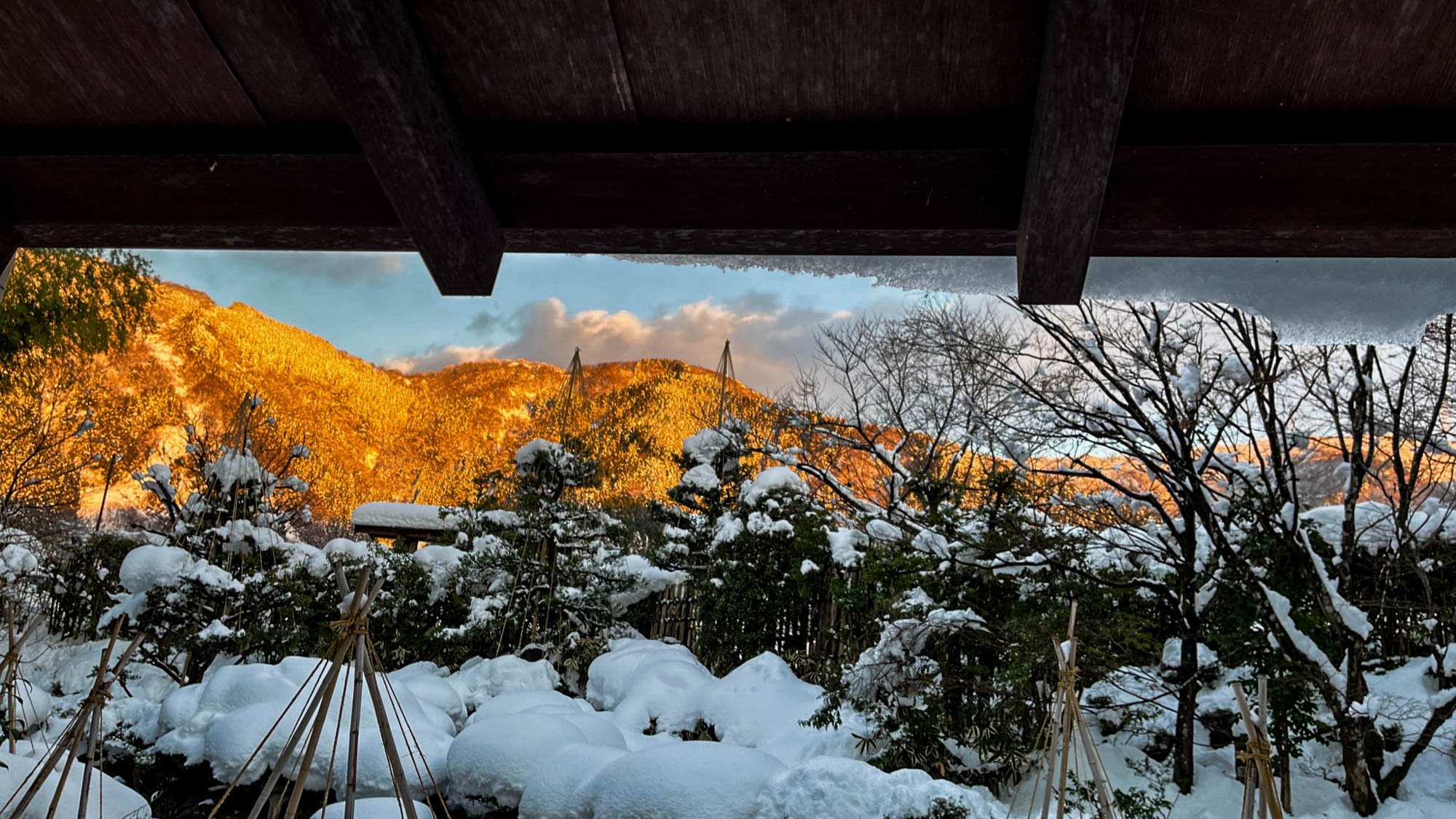 和田屋 Wataya