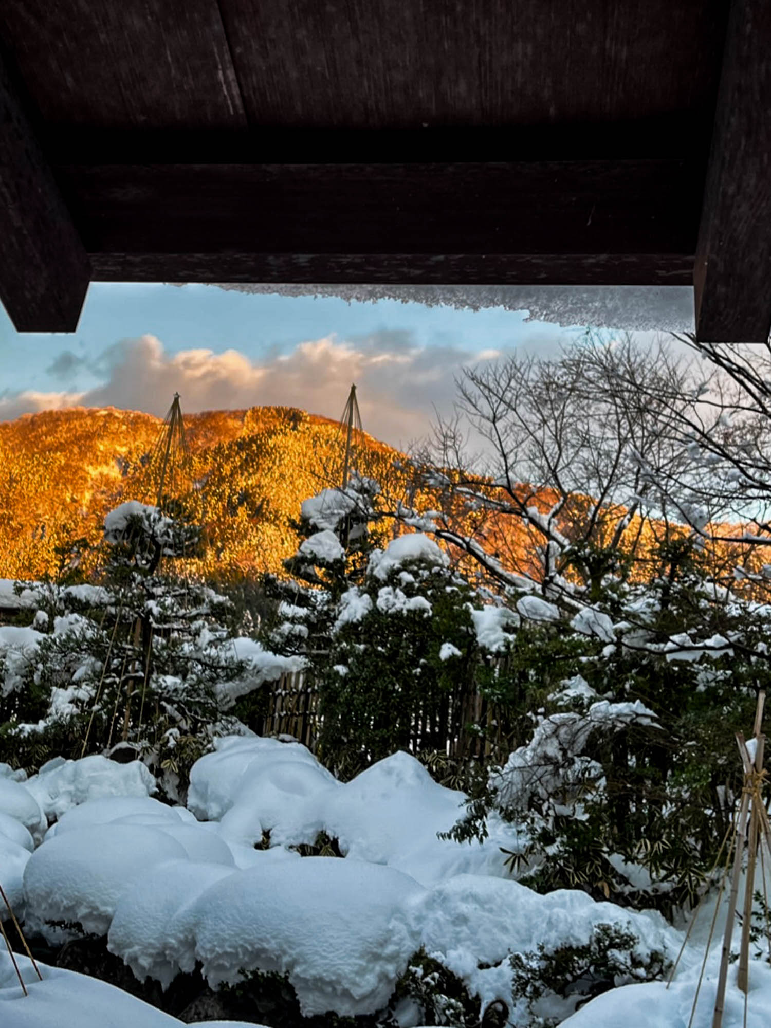 和田屋 Wataya