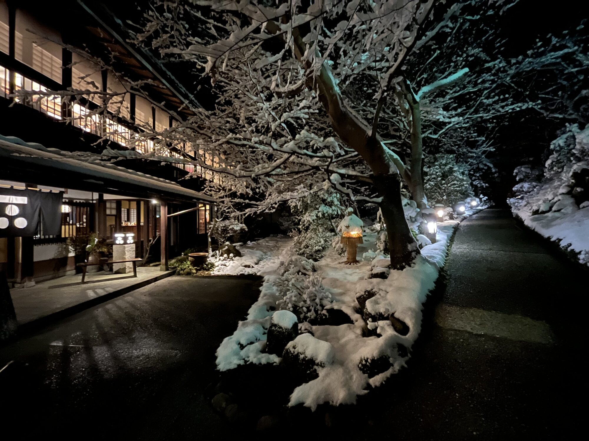 寒波お見舞いありがとうございます。