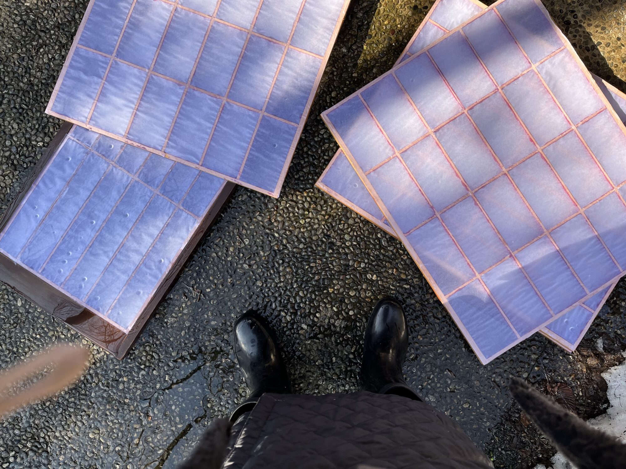 障子張り頑張る